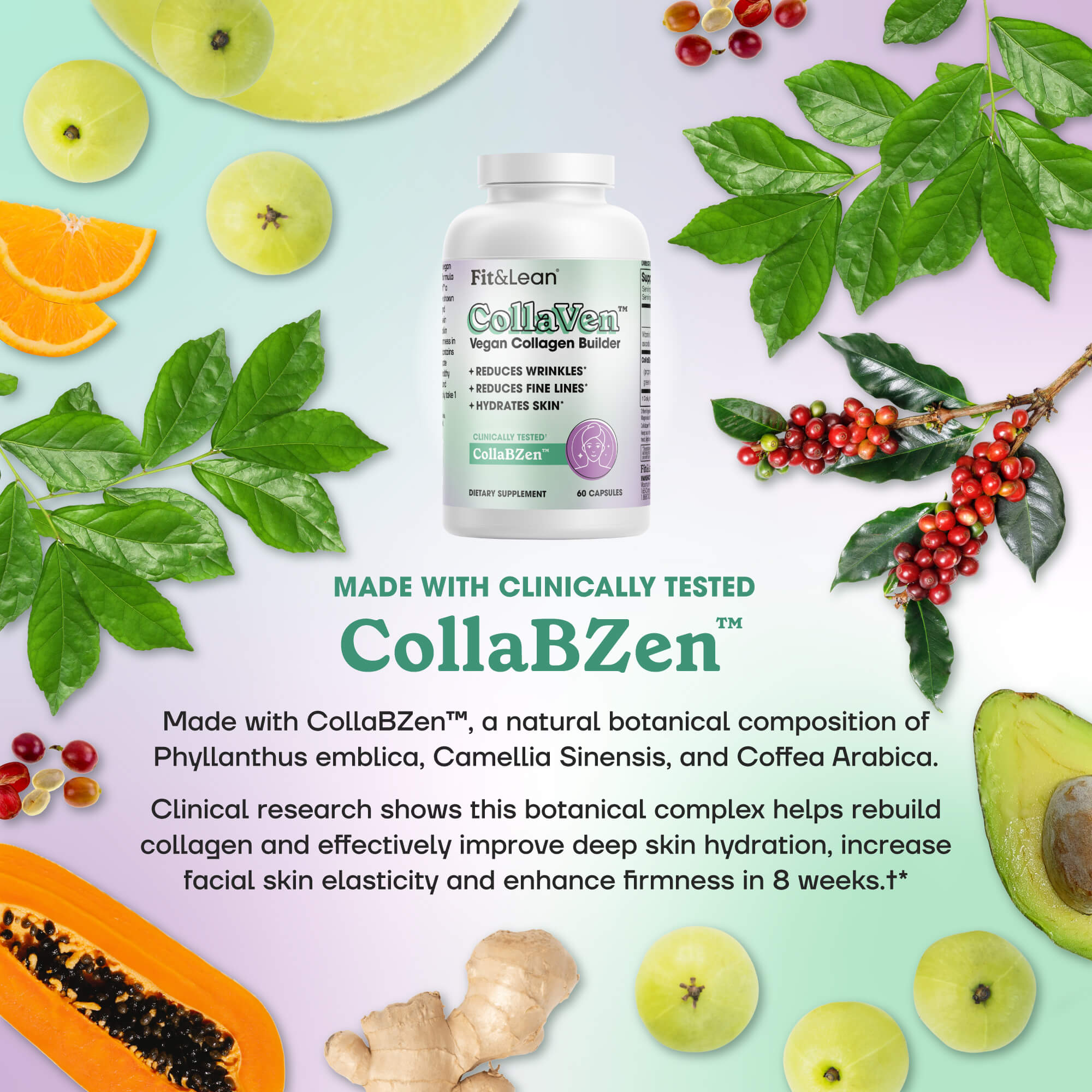 Collopen CollaVen – Fit & Lean