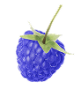 Blue raspberry